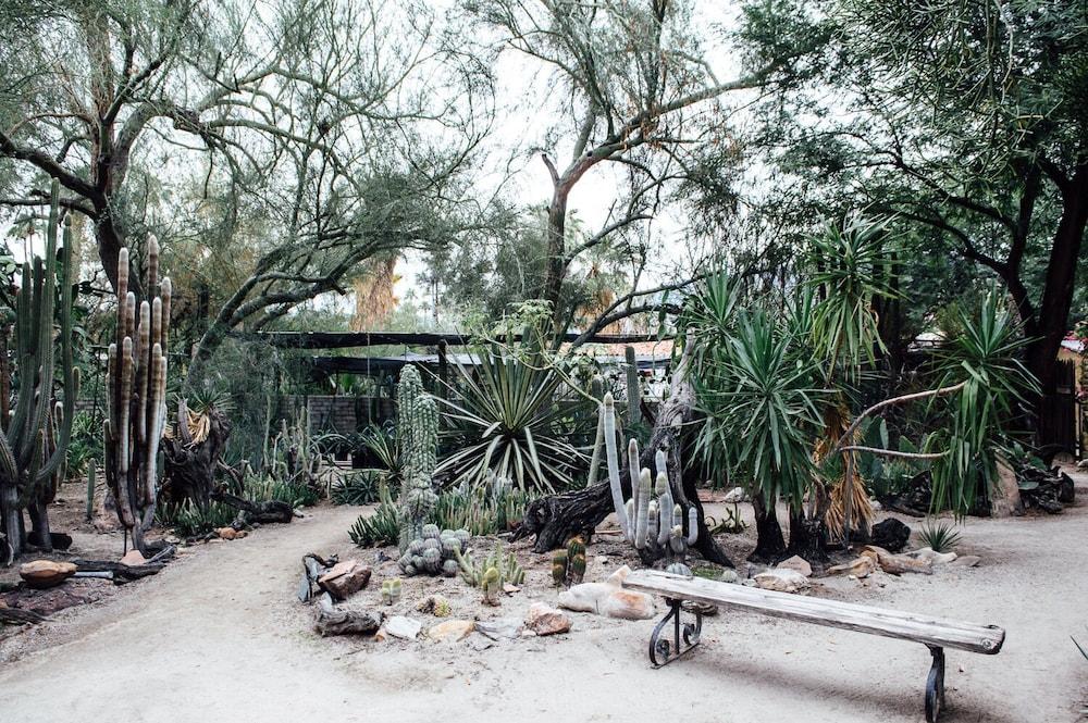 Desert Lodge Palm Springs Zewnętrze zdjęcie
