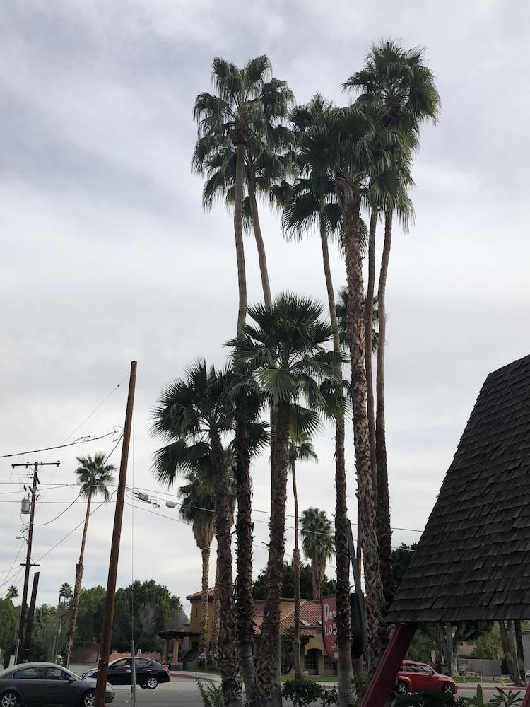 Desert Lodge Palm Springs Zewnętrze zdjęcie