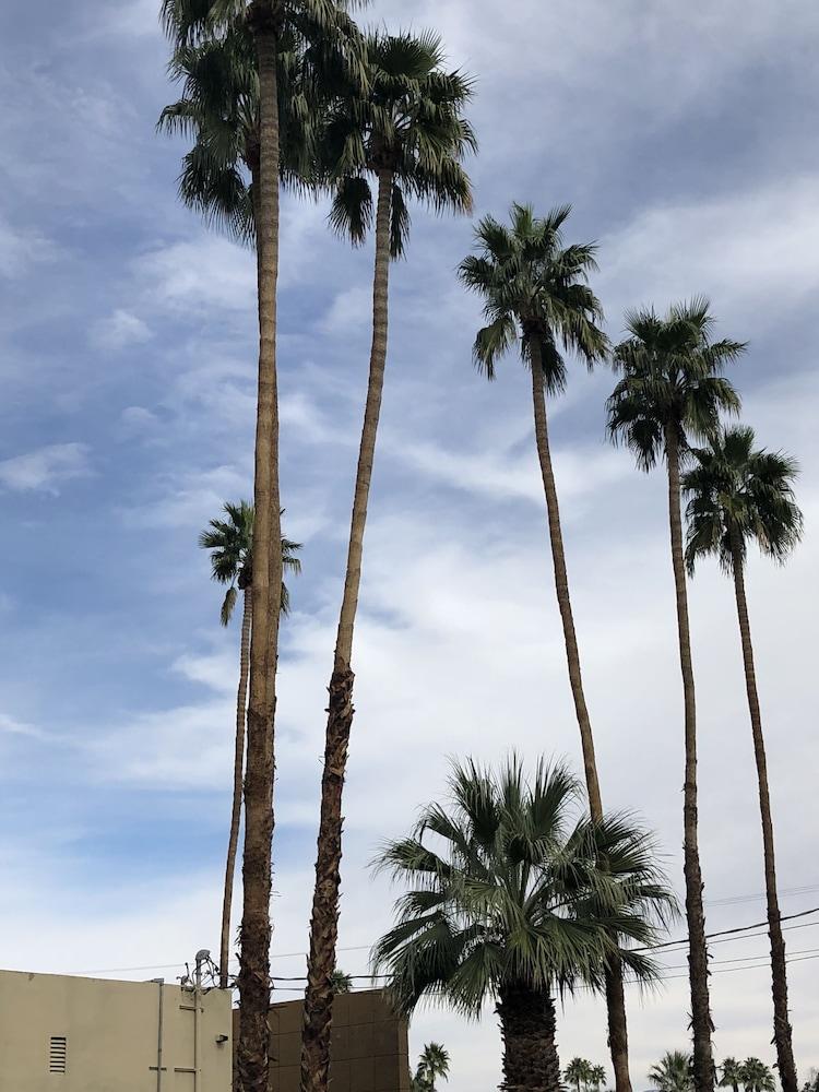 Desert Lodge Palm Springs Zewnętrze zdjęcie