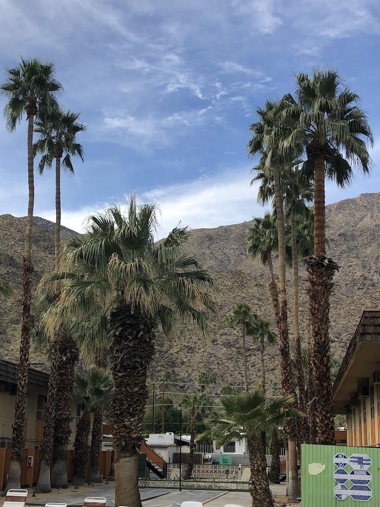 Desert Lodge Palm Springs Zewnętrze zdjęcie